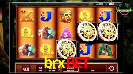 A Experiência Imersiva dos Cassinos Ao Vivo no brxbet